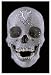 Books : For The Love Of God: The (signed edition): Making Of The Diamond Skull