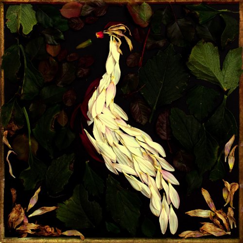 Audrey Assad - Good To Me Lyrics - Zortam Music