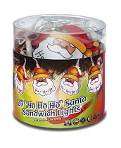 Santa Christmas Lights