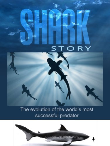 Shark Story - The Evolution of the world's most successful predator