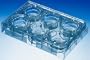 Corning Transwell Permeable Supports; For 24-well Plates; Pore Size: 8.0<special id="311"/>m