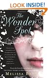 The Wonder Spot