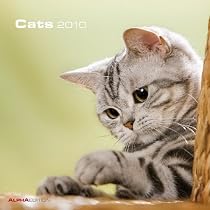 Cats 2010 Wall Calendar X105