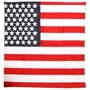 American Flag Bandana