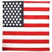 American Flag Bandana