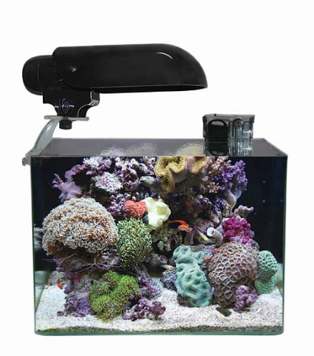 FT1202BK-D65: Finnex 4 Gallon Aquarium, 6500k w/ moonlight LED & Filter – BLACK