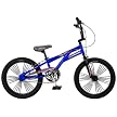 Boy's Schwinn Throttle Sidewalk Bike - Blue (20")