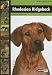 Rhodesian Ridgeback (Dog Breed Expert Series)