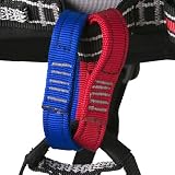 Safe-Tech Waldo Harness by Metolius