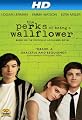 play video on Amazon Instant Video