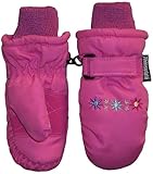 N'ice Caps Tm 4-7yrs Girls Mitten with Multi Color Embroidery