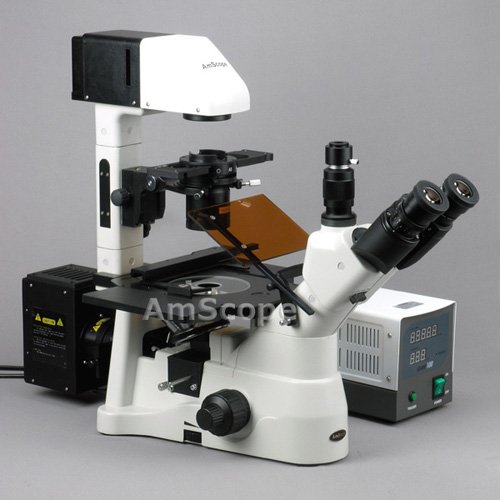 Best Price 40X-900X Phase Contrast Fluorescence Inverted Microscope