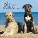 Irish Wolfhounds 2009 Square Wall Calendar