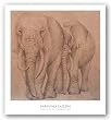 Elefantes En El Papel Dos by Carolina Luzon 16"x16" Art Print Poster Latin