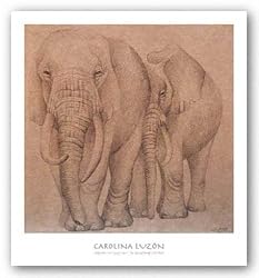 Elefantes En El Papel Dos by Carolina Luzon 16"x16" Art Print Poster Latin
