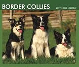 Border Collies 2009 Boxed Calendar
