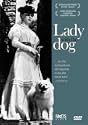 The Lady
