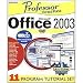 INDIVIDUAL Professor Teaches Office 2003