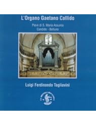 Digital Music Track: Antonio Vivaldi: Concerto, Op. IV / 6: La Stravaganza. Largo - La Bottega Discantica