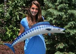 Giant Fiberglass Taxidermy Wahoo Wall Mount 39"