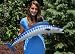 Giant Fiberglass Taxidermy Wahoo Wall Mount 39"