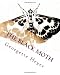 The Black Moth: A Romance of the XVIII Century