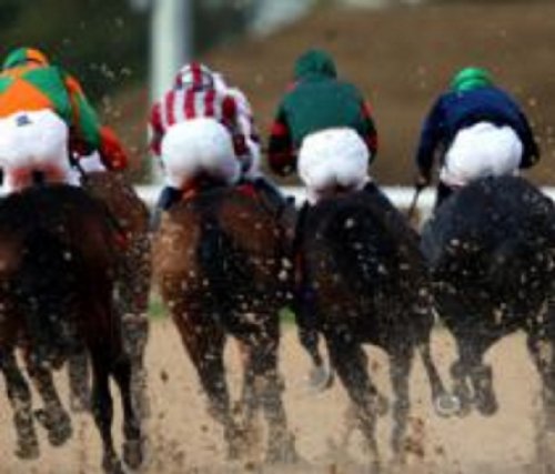 Secure Profits Horse Racing Formula