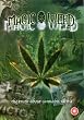 Image of The Magic Weed: The Truth About Cannabis Sativa