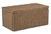 Cabana Banana Large Storage Trunk in Cocoa
