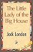 Books : The Little Lady of the Big House