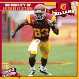 2012 USC Trojans 12 x 12 Wall