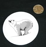 3" button / pin printed with zoo, captivity, white, ice, mammal, arctic, ursine, polar bear, animal, isbjorn, predator