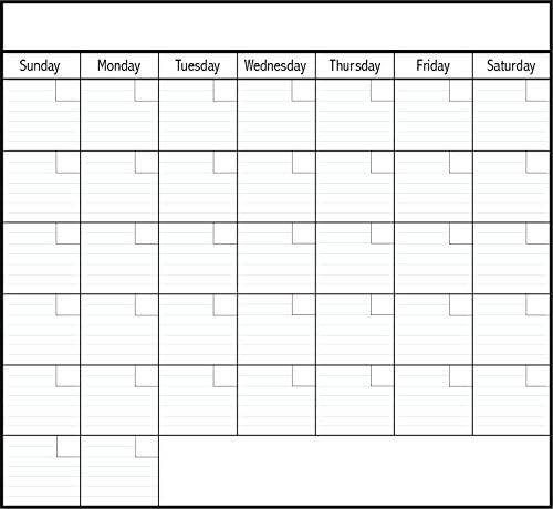 Laminated Large Wall Calendar (20" X 22") Dry Erase Erasable One Month Planner for Offices Homes and Schools and Academic Settings - MADE IN USA ...