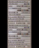 V77 Sammler Vitrine Setzkasten Fingerhut Fingerhüte