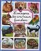 L'imagerie des animaux familiers
