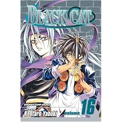 Black Cat, Volume 16 (Black Cat (Graphic Novels))