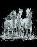Mammut A30PPSF5 - Kratzbild Silber - Wildpferde, 20 x 25.5 cm