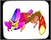 Decorated Mouse Pad with coyote, fox