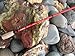 Lamiglas Ultra Light Cast/Troll Jared Johnson Fiberglass Team Kokanee Casting Rod-2 Piece CGR762L Red 7’6