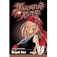 Shaman King Vol. 14 (Shaman King (Graphic Novels))