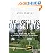 The Secret Lives of Saints: Child Brides and Lost Boys in a Polygamous Mormon Sect