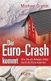 Der Euro-Crash kommt