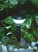 Solar Path Lights - Set of 6 Solar Pathway Lights, Solar Garden Lights, Solar Landscape Lights