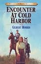 Encounter at Cold Harbor