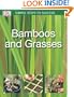 Simple Steps to Success: Bamboos & Grasses