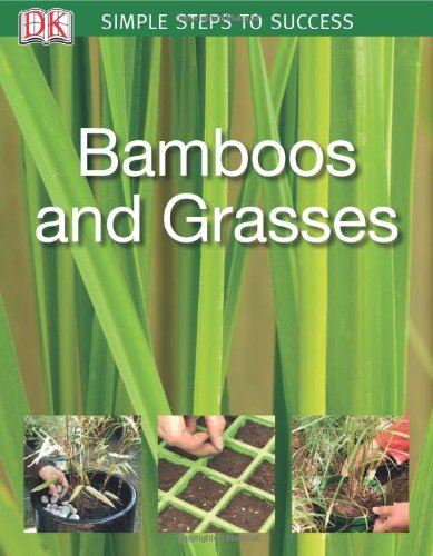 planting grass