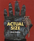 Buy : Actual Size (Bccb Blue Ribbon Nonfiction Book Award (Awards))