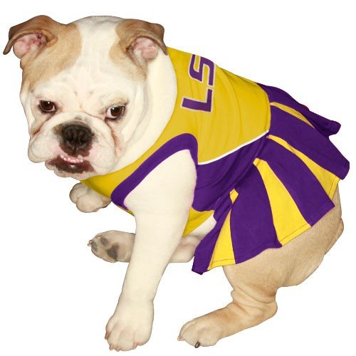 NCAA LSU Tigers Cheerleader Dog Outfit, Small