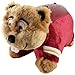 NCAA Minnesota Golden Gophers Dream Lite Pillow Pet
