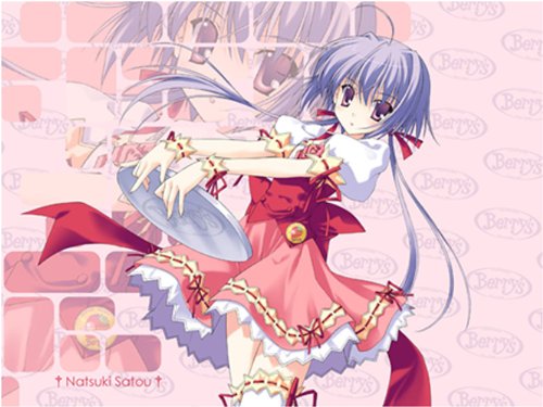 Berry'sドラマCD Vol.2 「佐藤夏姫」